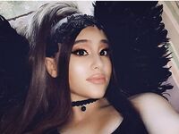 Paige Niemann Collection