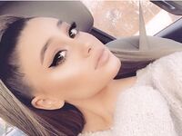 Paige Niemann Collection