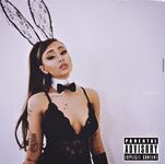 Paige Niemann Collection