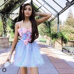 Paige Niemann Collection