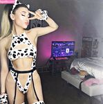 Paige Niemann Collection