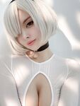 Vinnegal 2B White Cosplay