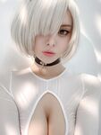 Vinnegal 2B White Cosplay