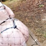 TattooedPrincess12/Tacosarelife13