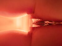 Mikomi Hokina - StLouis