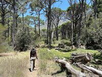 My last Belle photos