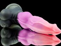 Realankri 2020 Photos