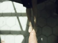 Cherrycrush blowjob gif