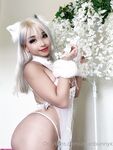 Asian bunny