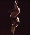 Bluekitsug9  tied up in ropes