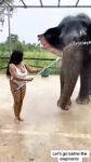 miss_sompicy nude shower w elephants