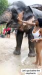 miss_sompicy nude shower w elephants