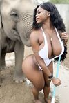 miss_sompicy nude shower w elephants