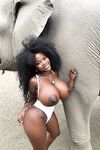 miss_sompicy nude shower w elephants