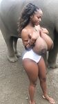 miss_sompicy nude shower w elephants