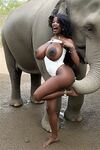 miss_sompicy nude shower w elephants
