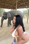 miss_sompicy nude shower w elephants