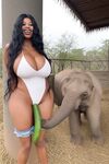 miss_sompicy nude shower w elephants