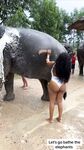 miss_sompicy nude shower w elephants