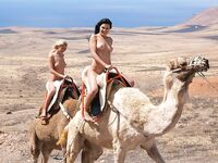 Puplic and Outdoor 2