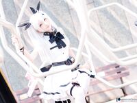 Fantasy Factory - Black and White Tulle Net Socks