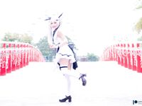 Fantasy Factory - Black and White Tulle Net Socks