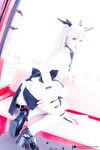 Fantasy Factory - Black and White Tulle Net Socks