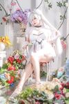 Tiny Asa Cinderella