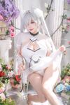 Tiny Asa Cinderella