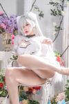 Tiny Asa Cinderella