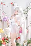 Tiny Asa Cinderella