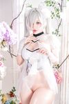 Tiny Asa Cinderella