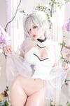 Tiny Asa Cinderella