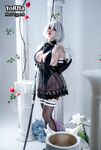 Tiny Asa 2B