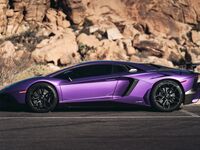 car sex