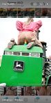 Farmeralirae