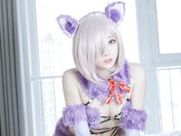 Asagiriai Mashu Kyrielight