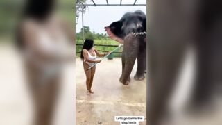 miss_sompicy nude shower w elephants