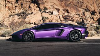 car sex